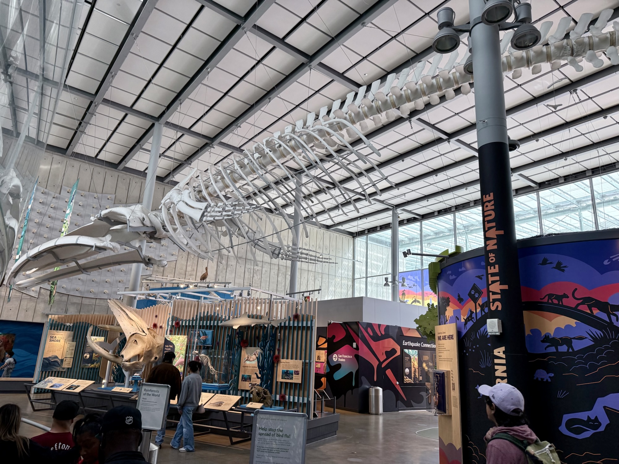 California Academy of Sciences with Kids: The Ultimate Parent Guide (2026)